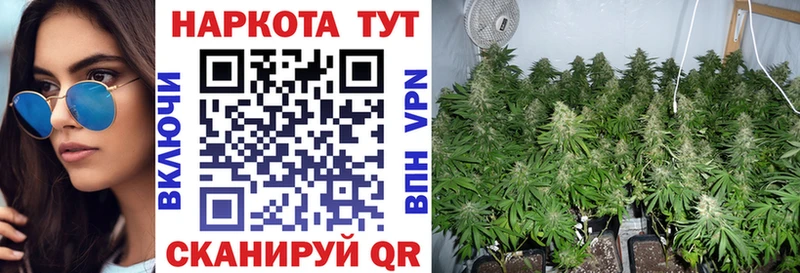 Купить Марихуана  Меф  Электрогорск