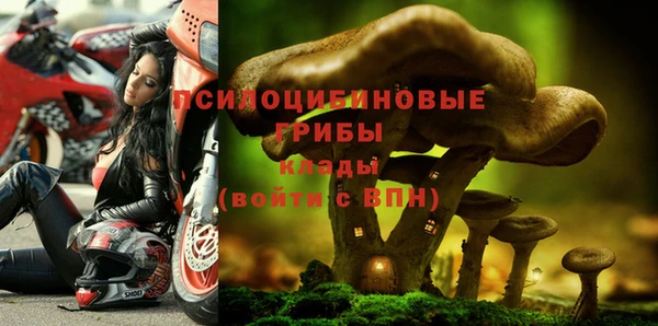 MESCALINE Кинешма