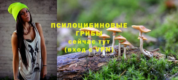 ешки Киреевск