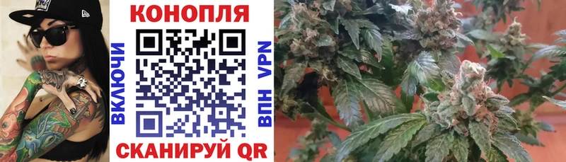 Купить закладки  Электрогорск  Марихуана гибрид